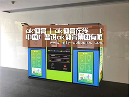 成功案例标题四