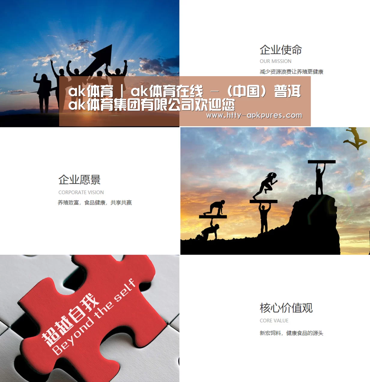 企业文化(图1)