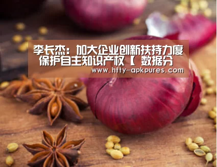 李长杰:加大企业创新扶持力度 保护自主知识产权【 数据分析】