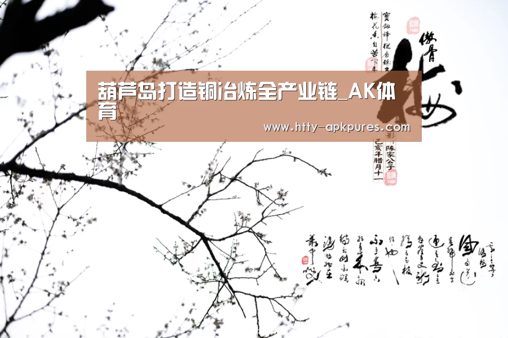 葫芦岛打造铜冶炼全产业链_AK体育