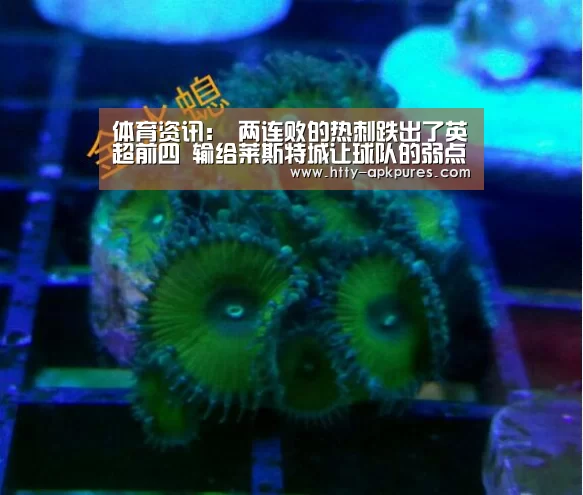 体育资讯:
两连败的热刺跌出了英超前四 输给莱斯特城让球队的弱点放大!(图2) AK体育