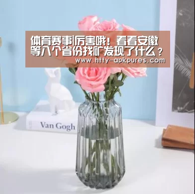  体育视频