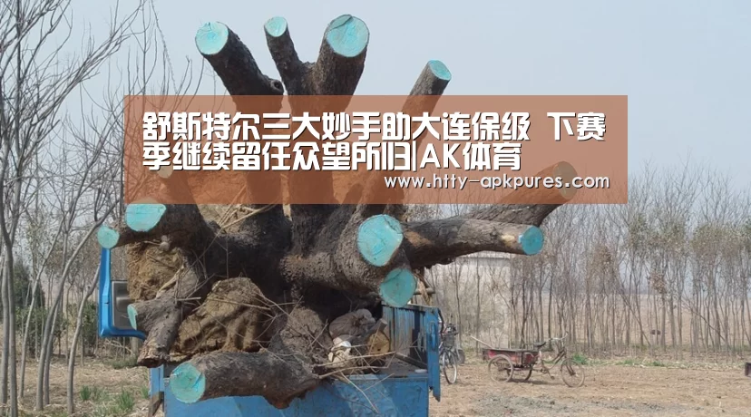 舒斯特尔三大妙手助大连保级 下赛季继续留任众望所归|AK体育(图2) 体育视频