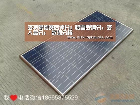 多特蒙德赛后评分:格雷罗满分,多人高分: 数据分析(图2) 体育赛事